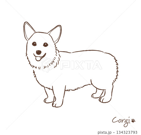手描きのコーギー線画_ベクターイラスト 手描きのコーギー線画_ベクターイラスト 134323793
