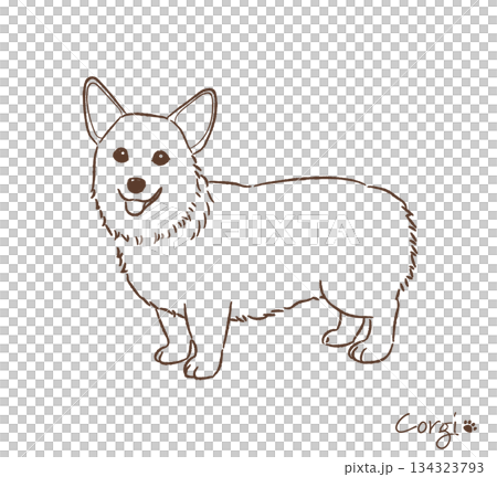 手描きのコーギー線画_ベクターイラスト 手描きのコーギー線画_ベクターイラスト 134323793