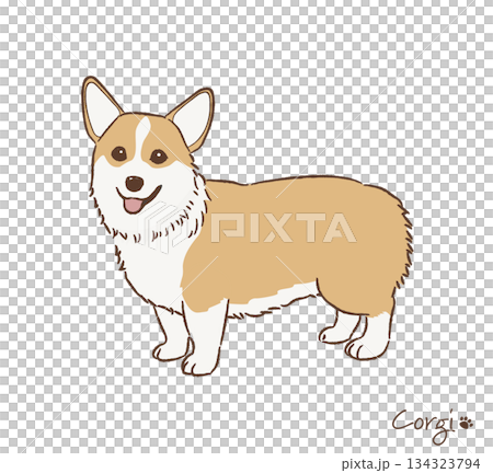 手繪柯基犬向量圖 手繪柯基犬向量圖 134323794