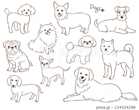 手描きの犬のセット線画_ベクターイラスト 134324296
