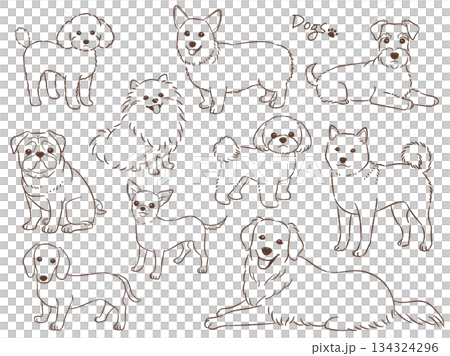 手描きの犬のセット線画_ベクターイラスト 134324296