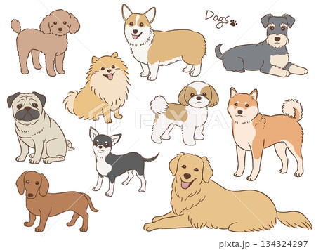 手描きの犬のセット_ベクターイラスト 手描きの犬のセット_ベクターイラスト 134324297