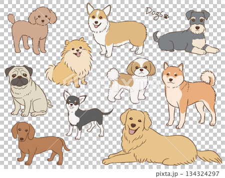 手描きの犬のセット_ベクターイラスト 手描きの犬のセット_ベクターイラスト 134324297