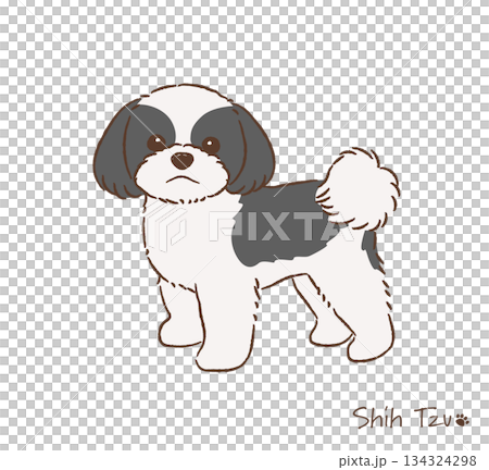 Hand-drawn Shih Tzu line drawing_Black and white_Vector illustration 134324298