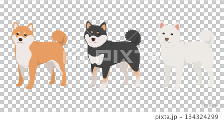 Shiba Inu 3-color set_No collar_Vector illustration Shiba Inu 3-color set_No collar_Vector illustration 134324299