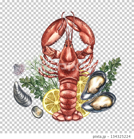 Boiled lobster with lemon, mussels, and herbs. Hand-drawn watercolor illustration. Colorful image of a seafood dish. Perfect for menu design, recipe books, packaging, labels, and more. 134325224