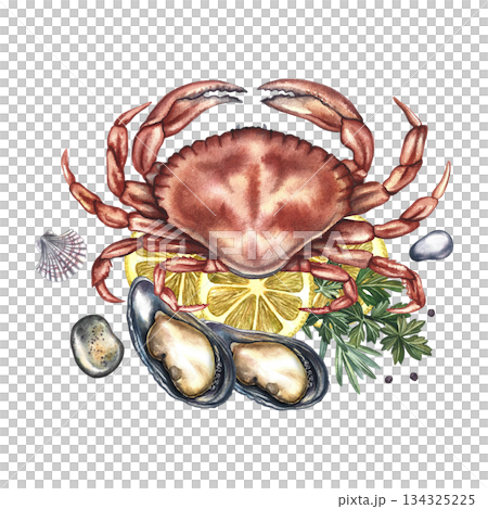 Boiled crab with lemon, mussels, and herbs. Hand-drawn watercolor illustration. Colorful image of a seafood dish. Perfect for menu design, recipe books, packaging, labels, and more. 134325225