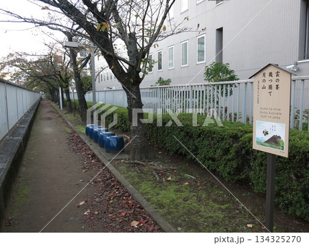 江東区の採荼庵跡近くにある芭蕉俳句の散歩道 江東区の採荼庵跡近くにある芭蕉俳句の散歩道 134325270