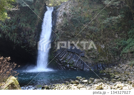 浄蓮の滝 日本の滝百選 静岡県伊豆市 浄蓮の滝 日本の滝百選 静岡県伊豆市 134327027