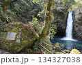 浄蓮の滝と天城越えの歌碑 静岡県伊豆市 134327038
