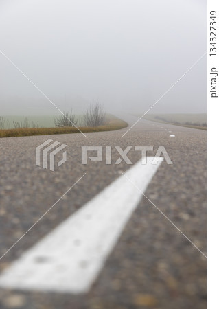 an asphalt road for cars in December in cloudy weather, the road and fog in the distance yellow grass and shrubs without foliage grow along the road 134327349