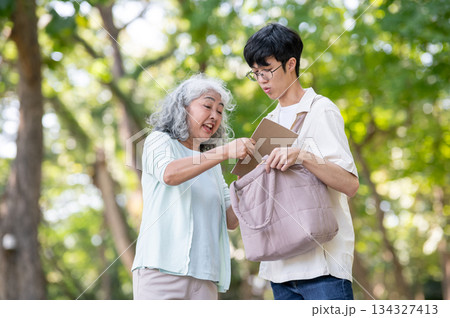 Old woman grandmother reading or taking book from bag while walking with young man grandson in park. Old woman grandmother reading or taking book from bag while walking with young man grandson in park. 134327413