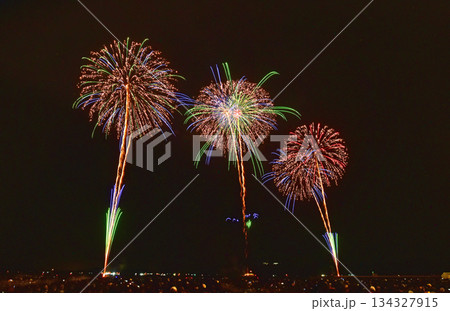 夜空に煌めく花火 134327915