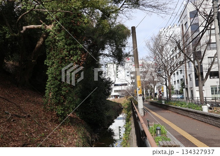 2024年・福岡・福岡市・風景・中央区城内・舞鶴公園・其の十二 134327937