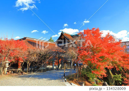 【京都府】快晴の北野天満宮の三光門と紅葉 【京都府】快晴の北野天満宮の三光門と紅葉 134328009