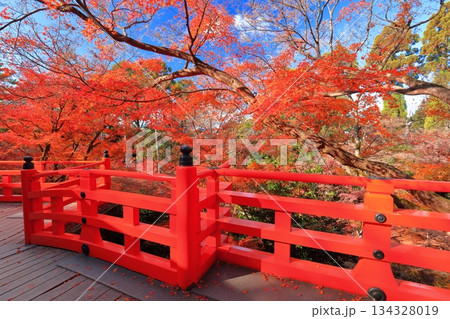 【京都府】北野天満宮の茶室梅交軒の紅葉(もみじ苑) 【京都府】北野天満宮の茶室梅交軒の紅葉(もみじ苑) 134328019