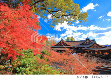 【京都府】北野天満宮の御本殿と紅葉（もみじ苑） 134328027