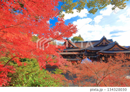 【京都府】北野天満宮の御本殿と紅葉（もみじ苑） 134328030