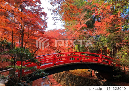 【京都府】北野天満宮の鶯橋の紅葉（もみじ苑） 134328040