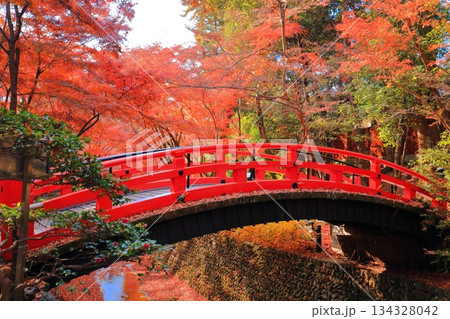 【京都府】北野天満宮の鶯橋の紅葉(もみじ苑) 【京都府】北野天満宮の鶯橋の紅葉(もみじ苑) 134328042