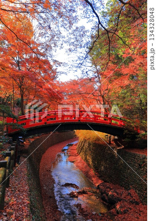 【京都府】北野天満宮の鶯橋の紅葉（もみじ苑） 134328048