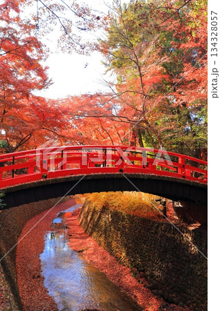 【京都府】北野天満宮の鶯橋の紅葉（もみじ苑） 134328057
