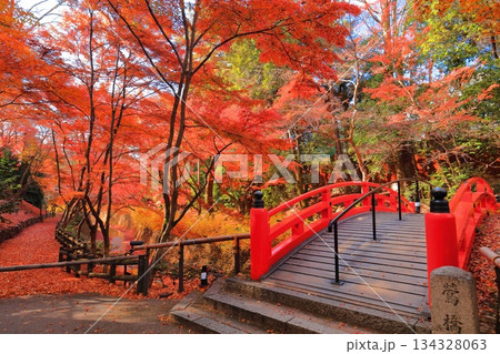 【京都府】北野天満宮の鶯橋の紅葉（もみじ苑） 134328063