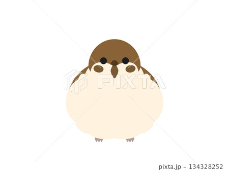 正面を向いて丸くふくらんだスズメのかわいいベクターイラスト 134328252