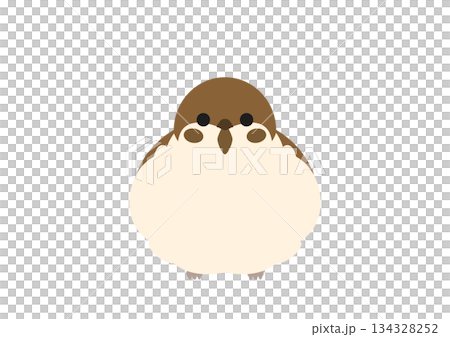 正面を向いて丸くふくらんだスズメのかわいいベクターイラスト 134328252