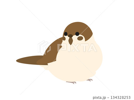 横向きの丸くふくらんだスズメのかわいいベクターイラスト 134328253