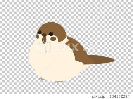 横向きの丸くふくらんだスズメのかわいいベクターイラスト 134328254