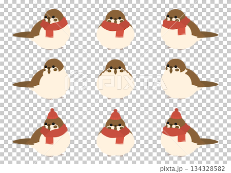 Cute vector illustration set of a round, puffy sparrow in winter (scarf and knitted hat) 134328582
