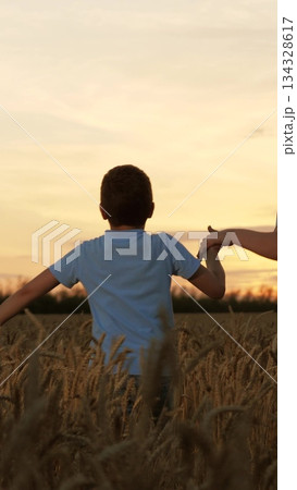 Happy children holding hands running through wheat field at sunset. Sibling kids children hold each other hands rush across field meadow together in setting sun. Concept of fun freedom family bonding 134328617