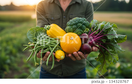Farmer Holding Fresh Organic Vegetables at Sunset Field Farmer Holding Fresh Organic Vegetables at Sunset Field 134328767