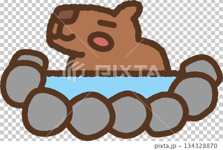 手繪動物圖示插圖：水豚 134328870