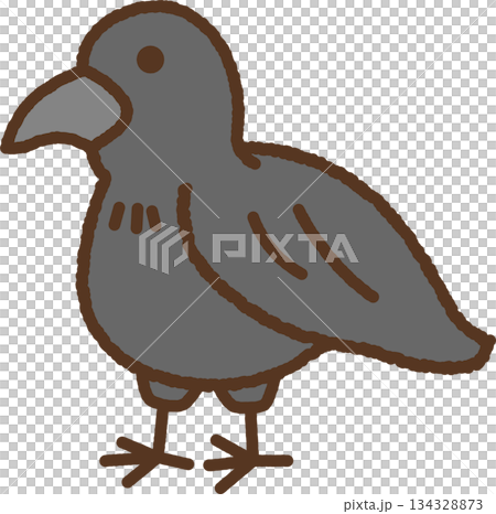 手繪動物圖示插圖：烏鴉 134328873