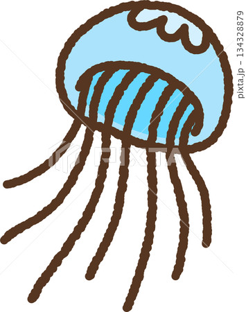 手書き風の生き物単品アイコンイラスト クラゲ 手書き風の生き物単品アイコンイラスト クラゲ 134328879