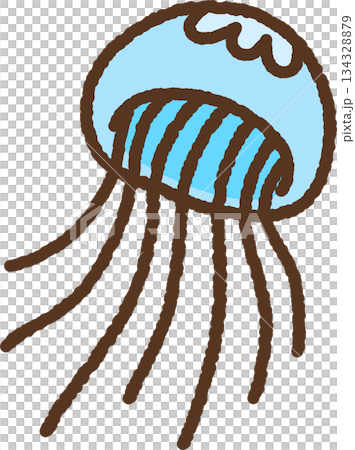 手繪生物圖示插圖：水母 134328879