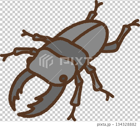 Hand-drawn creature icon illustration: Stag beetle Hand-drawn creature icon illustration: Stag beetle 134328882