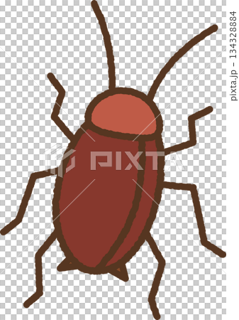 手繪生物單圖示插圖：蟑螂 134328884