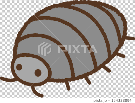 手書き風の生き物単品アイコンイラスト　ダンゴムシ 134328894
