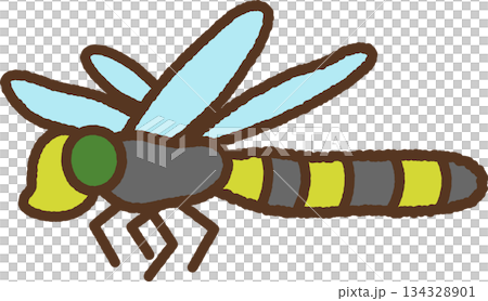 手書き風の生き物単品アイコンイラスト　トンボ 134328901