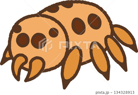 手書き風の生き物単品アイコンイラスト　ハエトリグモ 134328913
