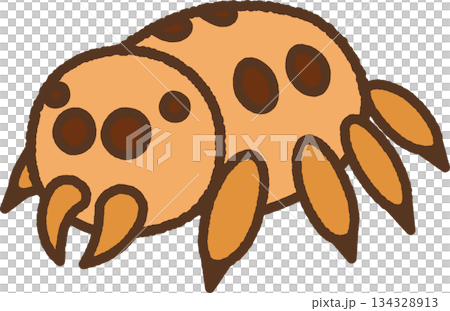 手繪生物單圖示插畫 跳蛛 手繪生物單圖示插畫 跳蛛 134328913