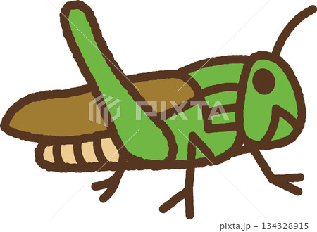 手書き風の生き物単品アイコンイラスト　トノサマバッタ 134328915