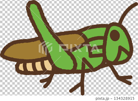 手書き風の生き物単品アイコンイラスト　トノサマバッタ 134328915