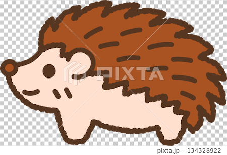 手繪動物圖示插圖：刺猬 134328922