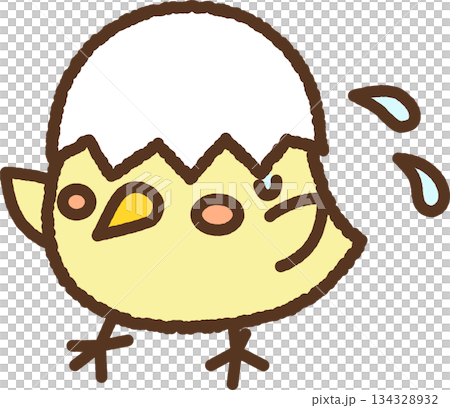 手書き風の生き物単品アイコンイラスト　ひよこ 134328932