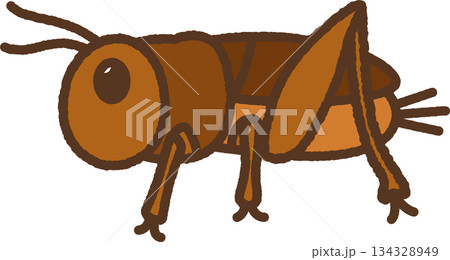手書き風の生き物単品アイコンイラスト コオロギ 手書き風の生き物単品アイコンイラスト コオロギ 134328949