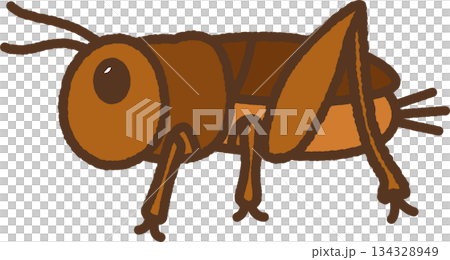 手書き風の生き物単品アイコンイラスト コオロギ 手書き風の生き物単品アイコンイラスト コオロギ 134328949